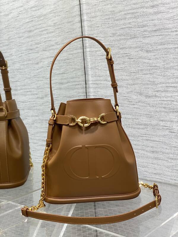 디올 C'EST Dior 미디엄백