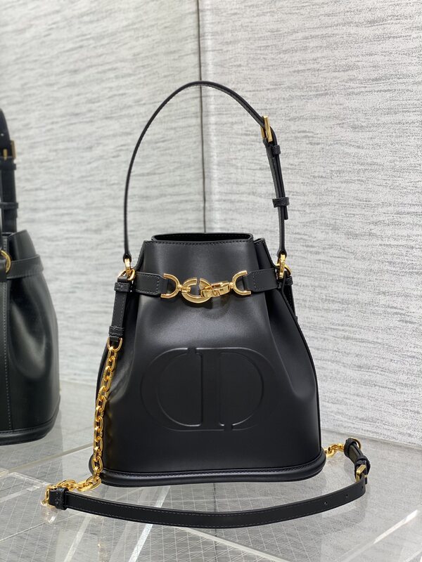 디올 C'EST Dior 미디엄백